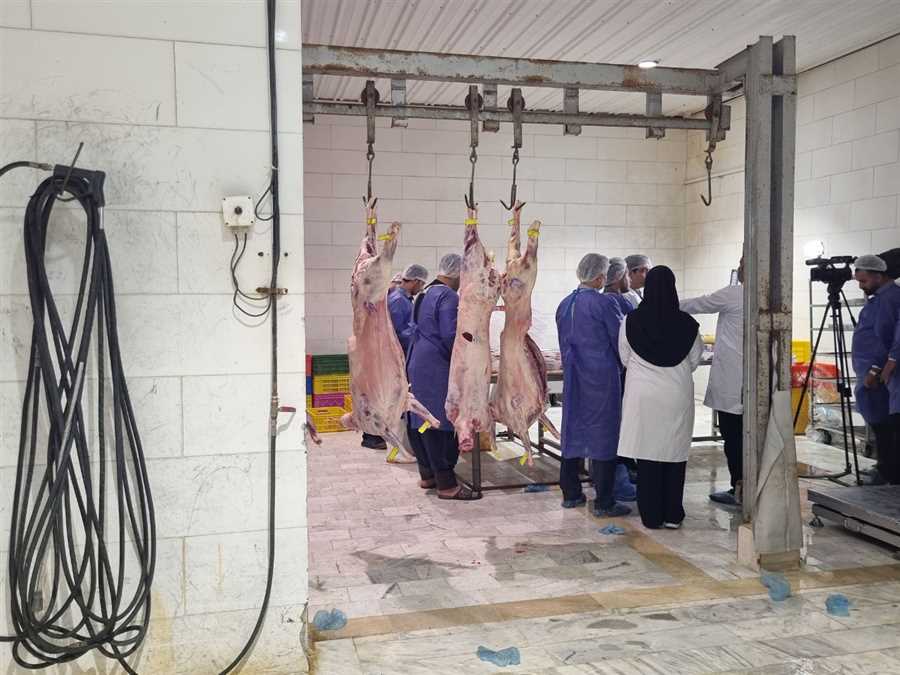 در معرکه‌ی خون و امید